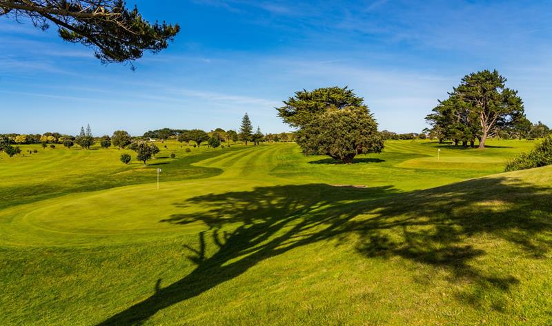 Men's Strokeplay